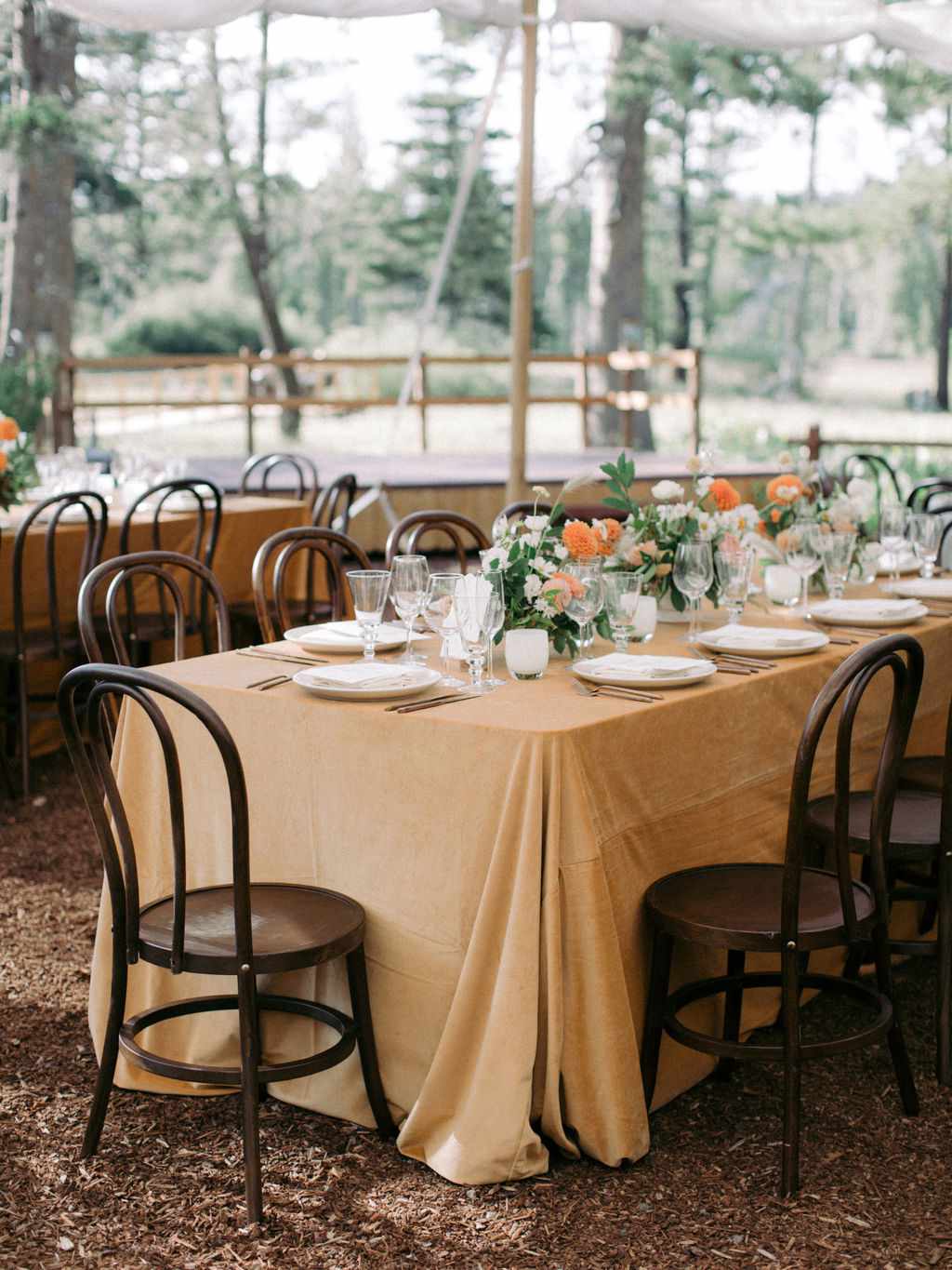 wedding reception tablescape adorned with orange velvet tablecloths and orange dahlia centerpieces