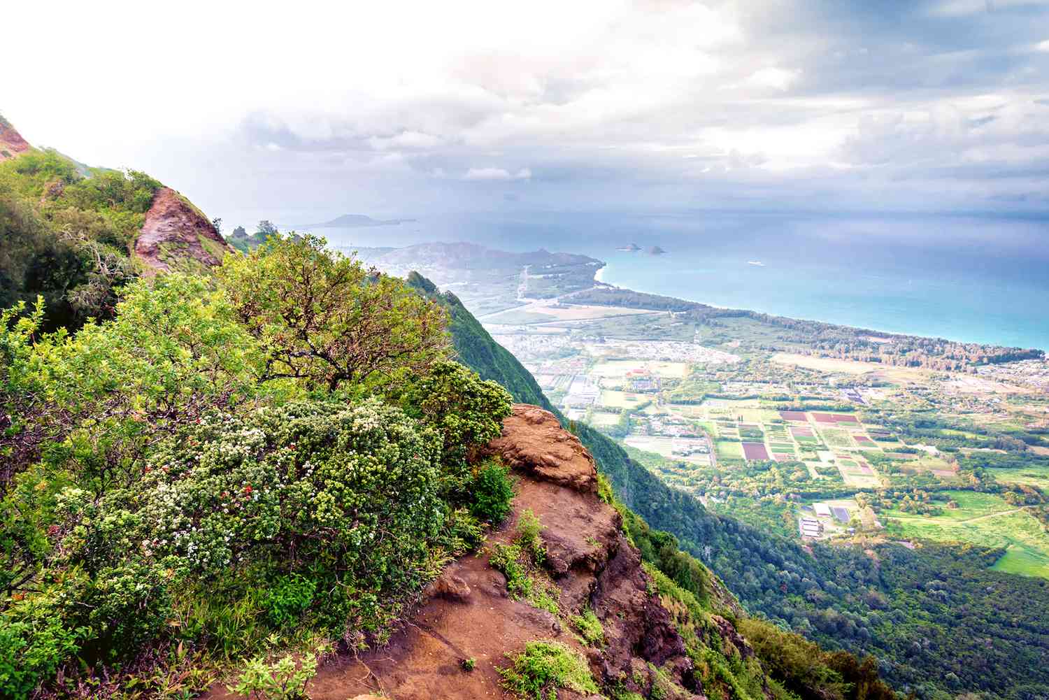 Kuliouou Ridge Trail Hawaii