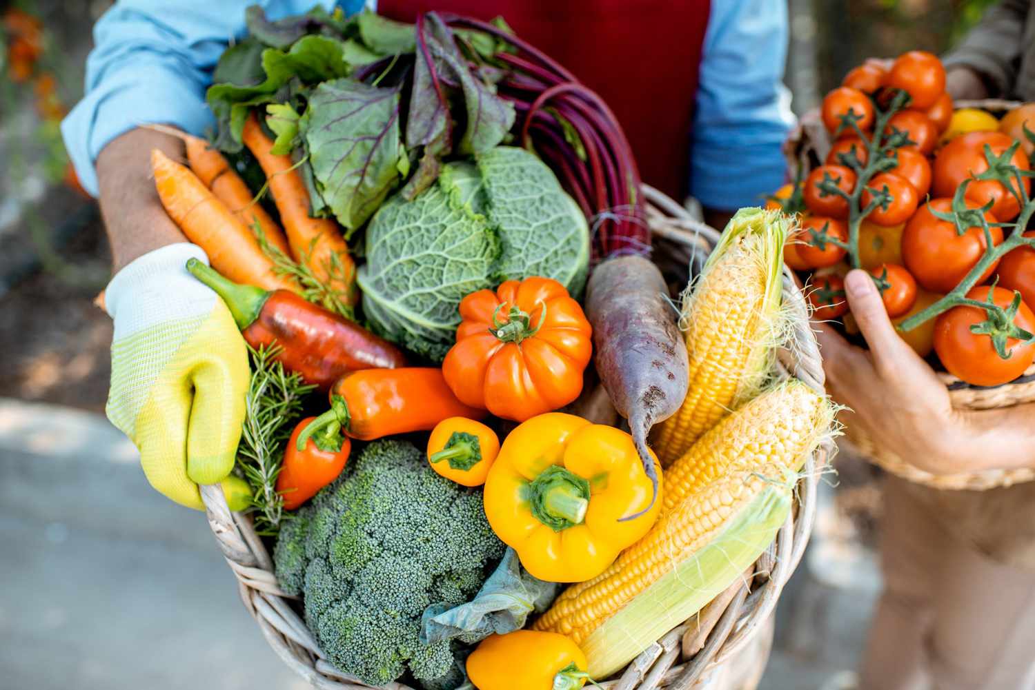 farmer holding an assortment of vegetables