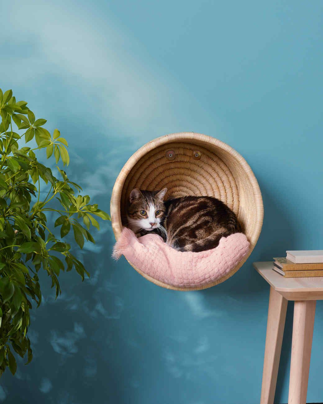 hanging cat basket with white and gray cat inside