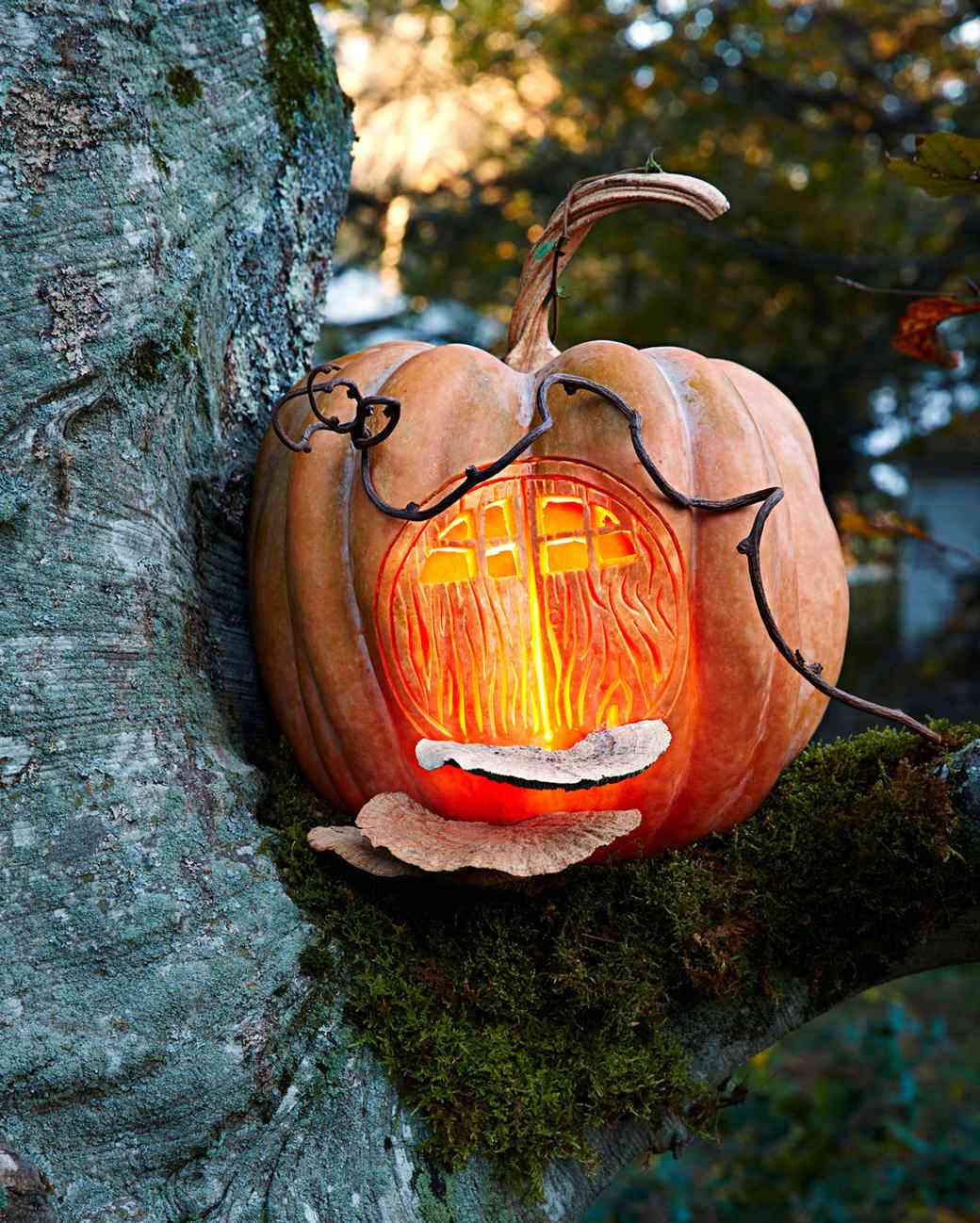 fairy house halloween pumpkin