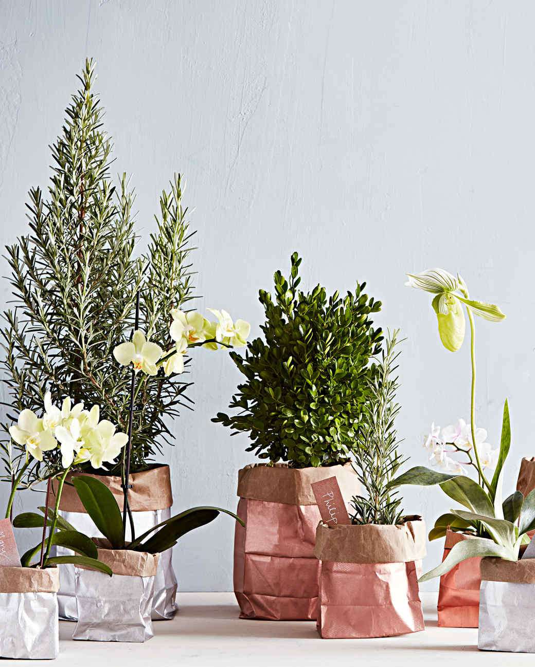 plant gift bag