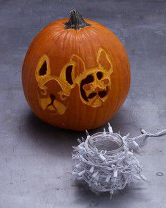 etched dog pumpkin