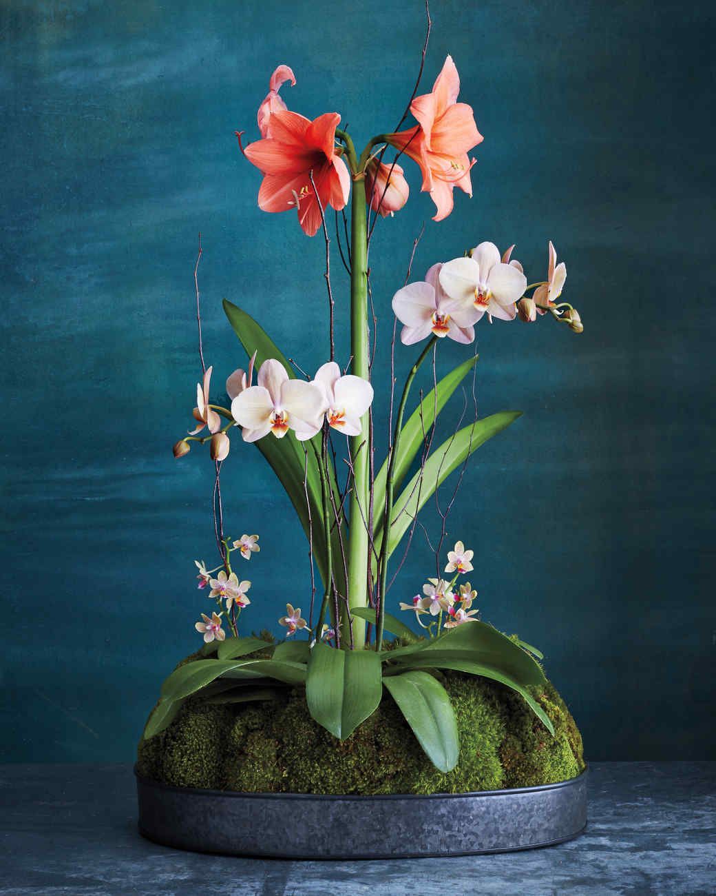 amaryllis-orchid-arrangement-034-d111854_vert