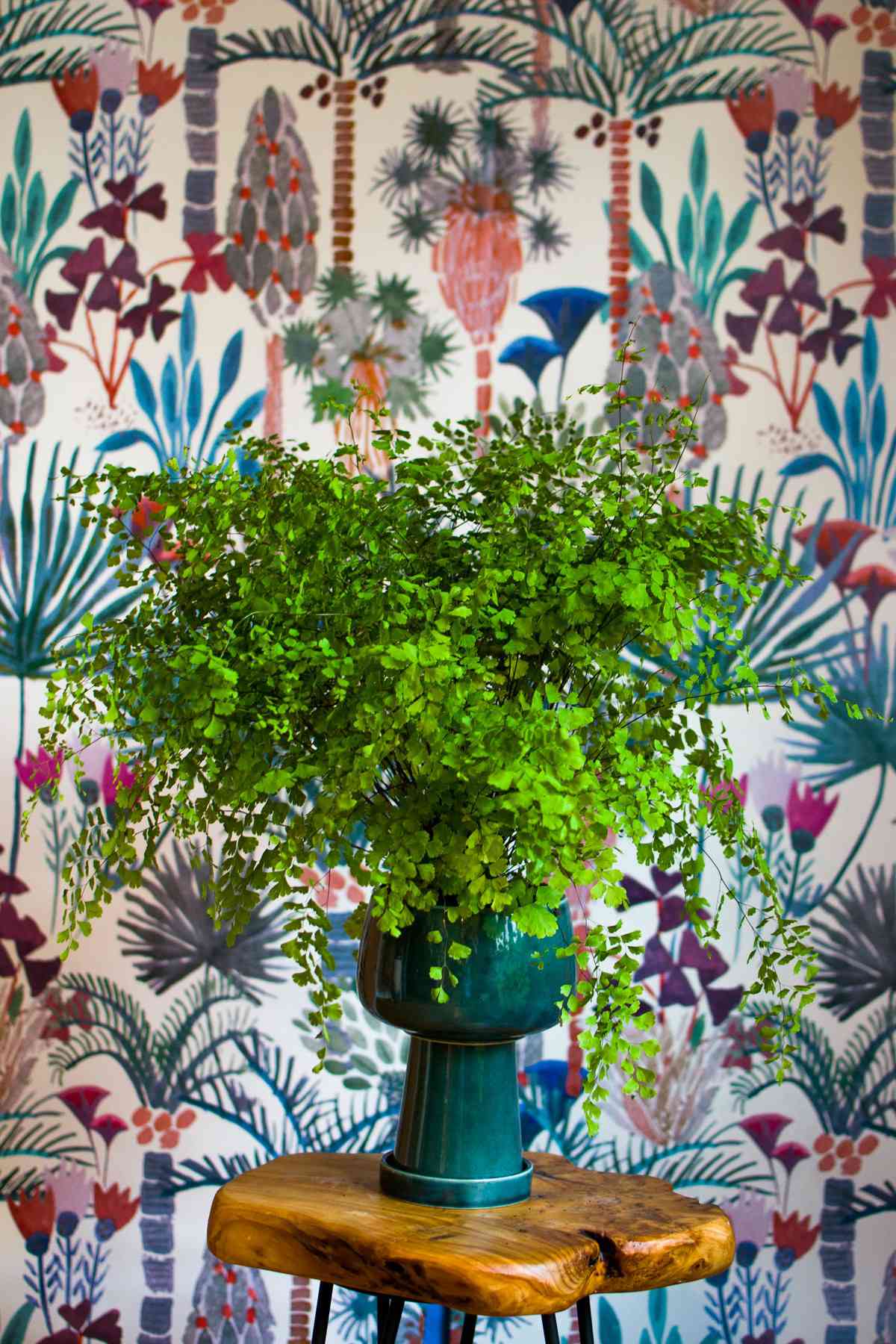 houseplant in front of wallpaper-covered wall