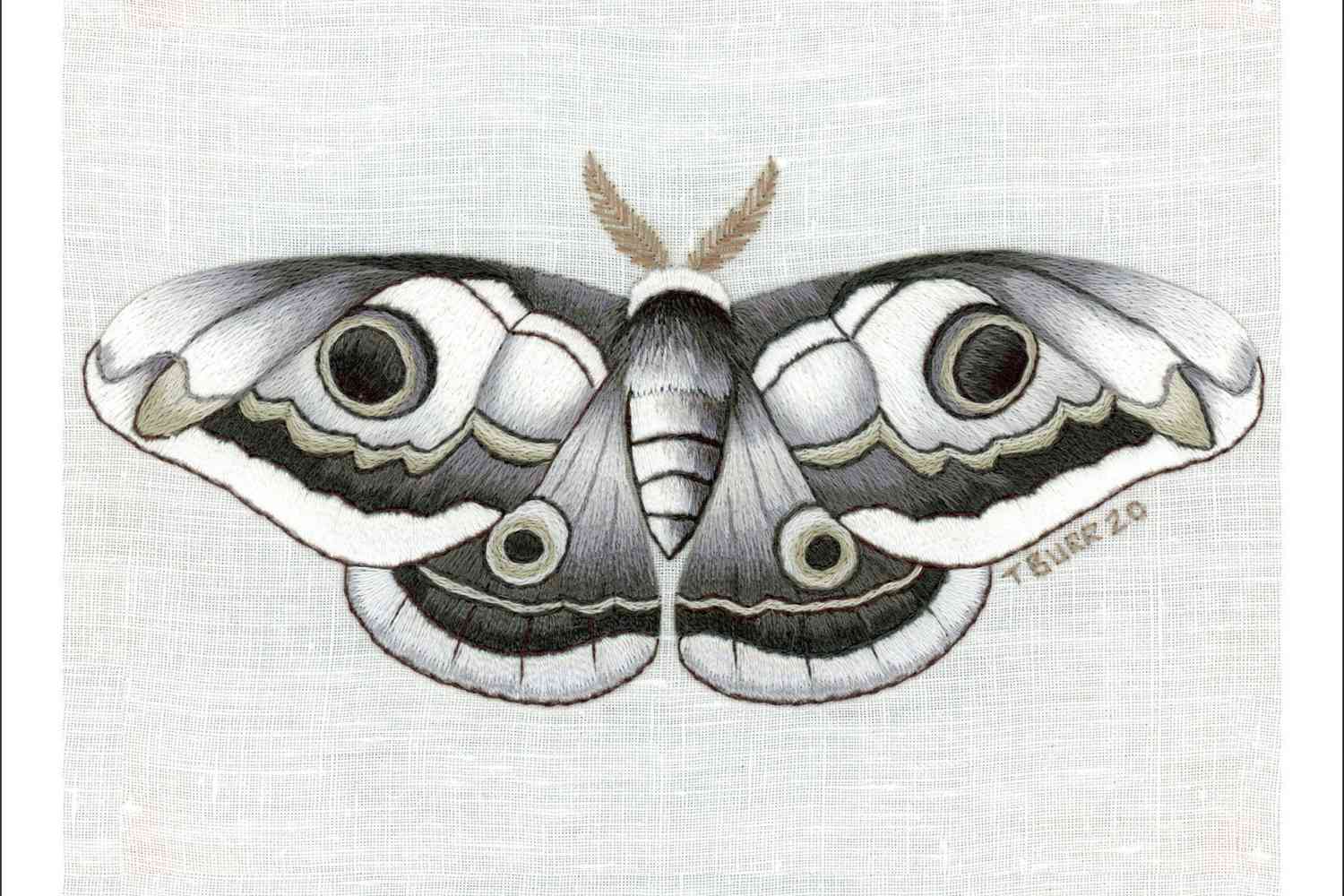 needlepainting emperor moth kit