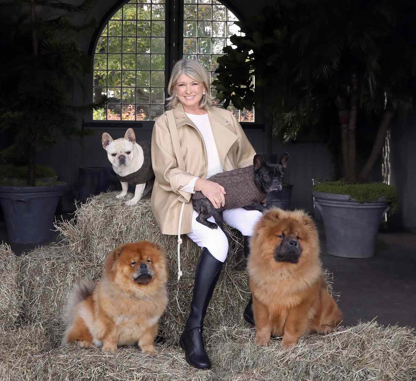玛莎·斯图尔特和她的四条狗坐在干草堆上