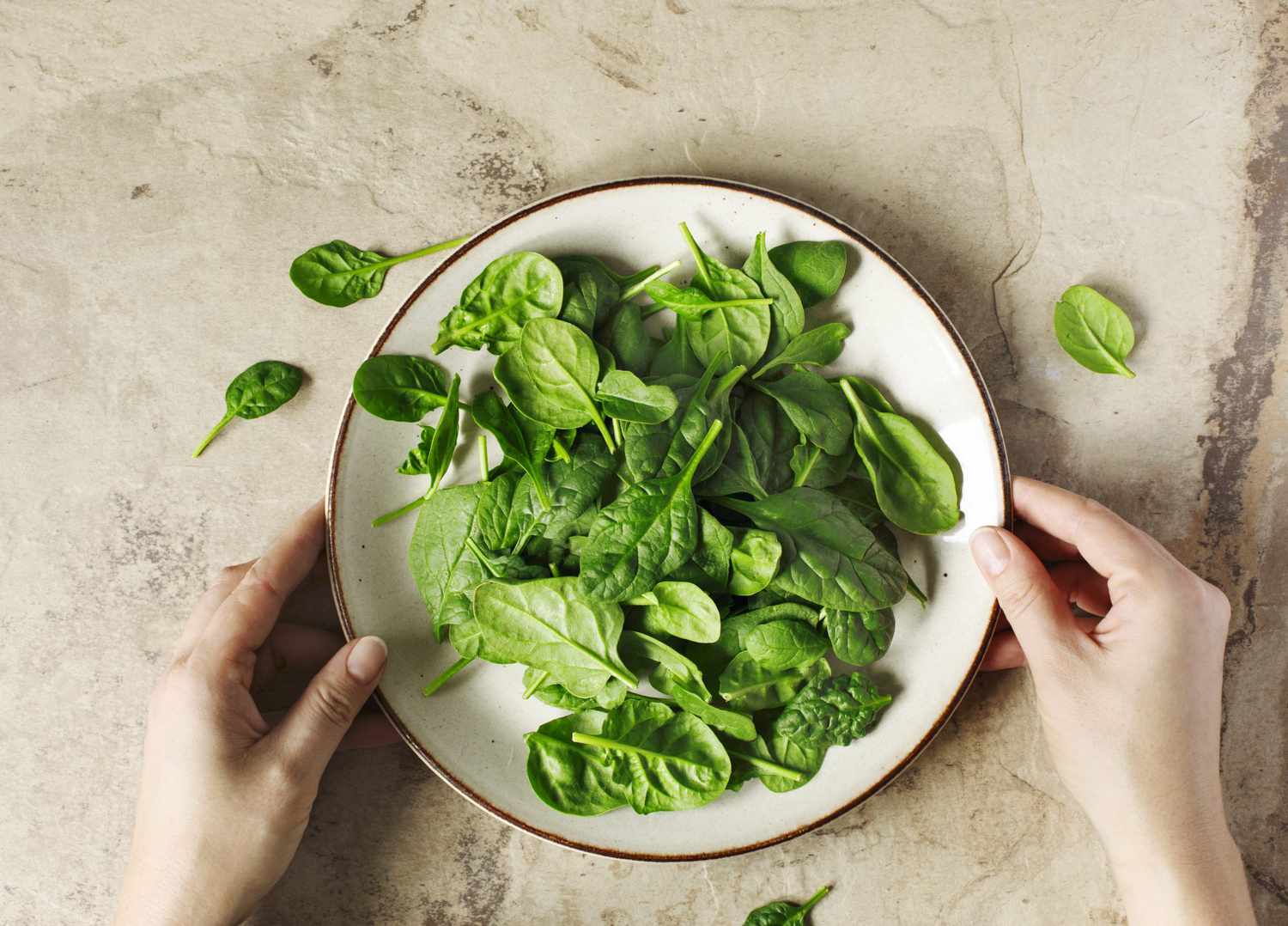 fresh spinach on plate
