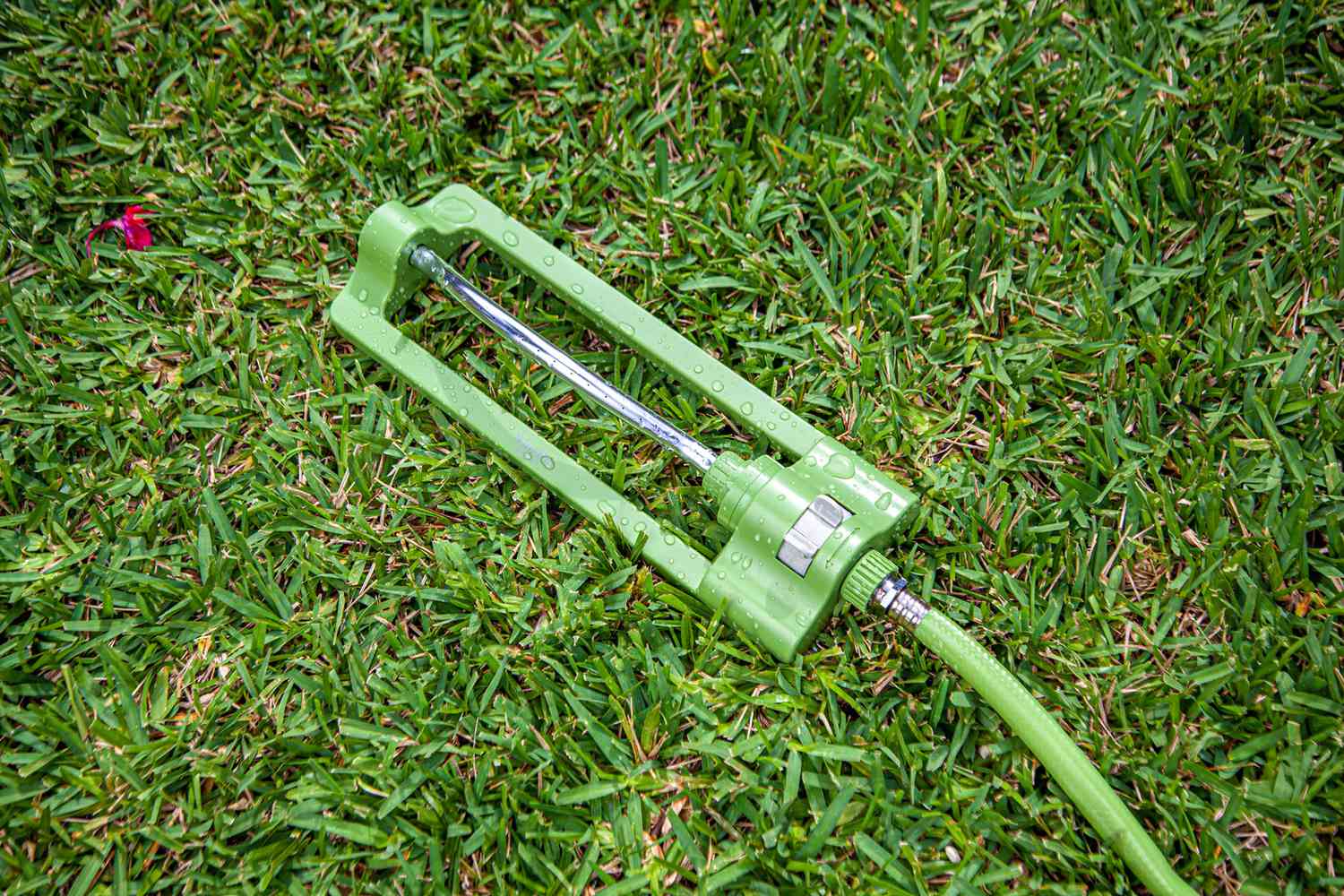 martha stewart lawn care collection green sprinkler