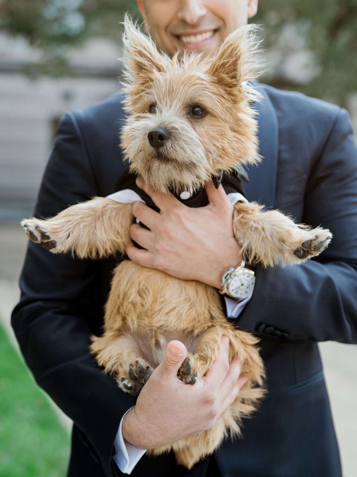 groom holding dressed up puppy