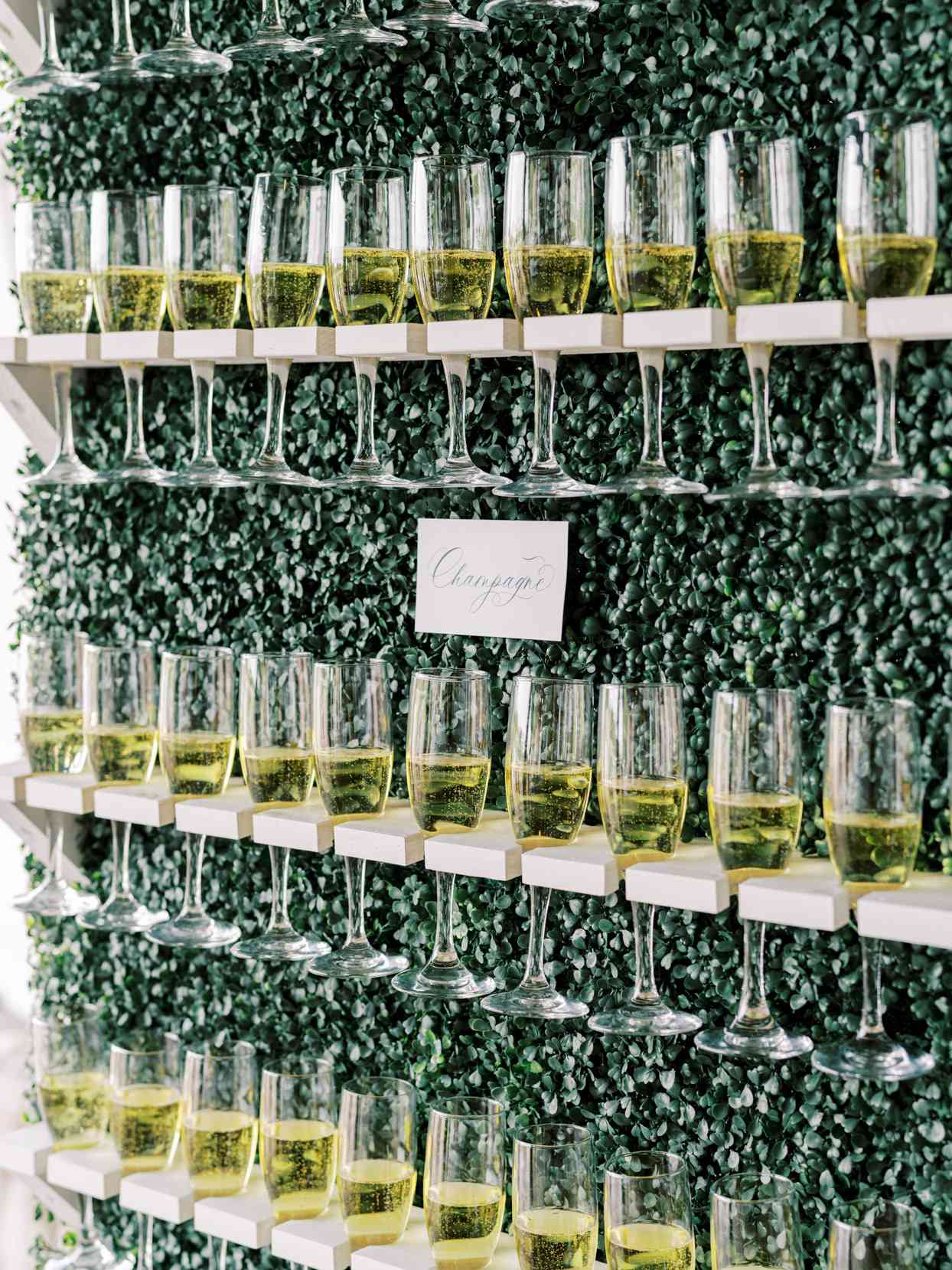 greenery wall with champagne filled glasses