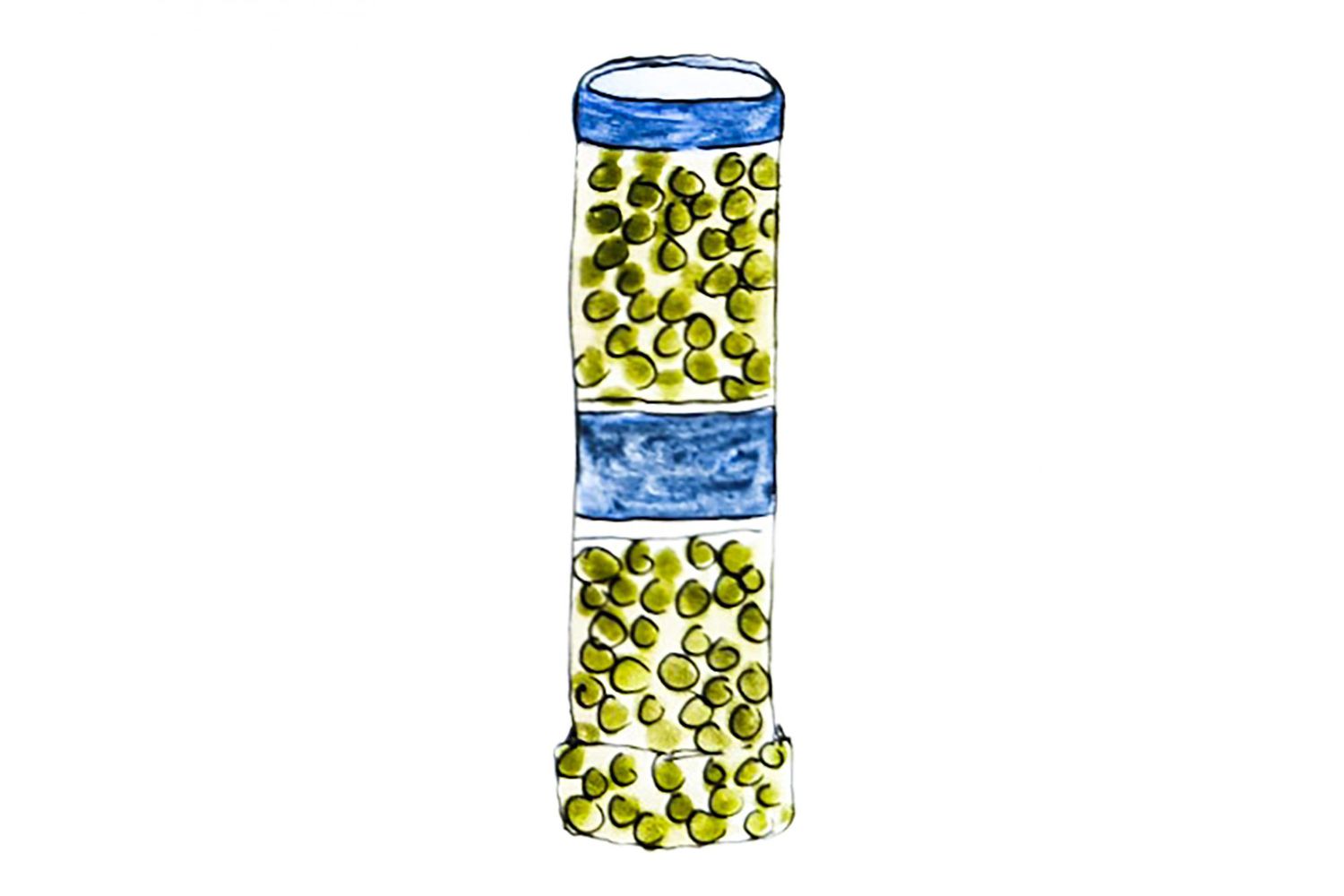 illustration of capers