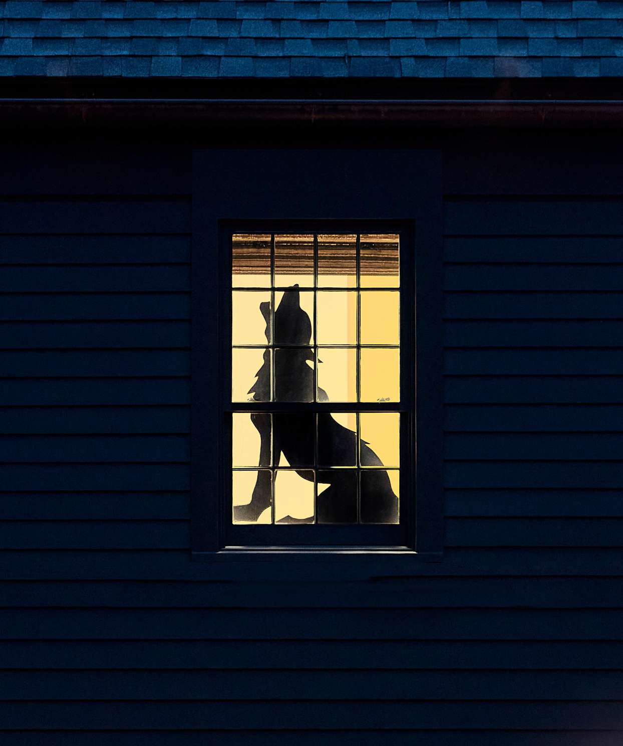 fantastic beast window silhouette in house