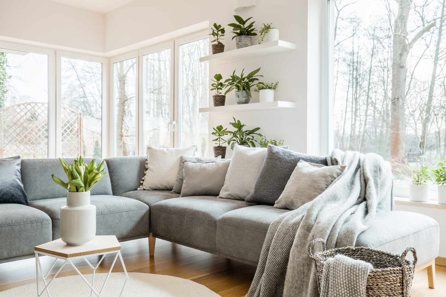 grey sectional sofa in living rom near windows