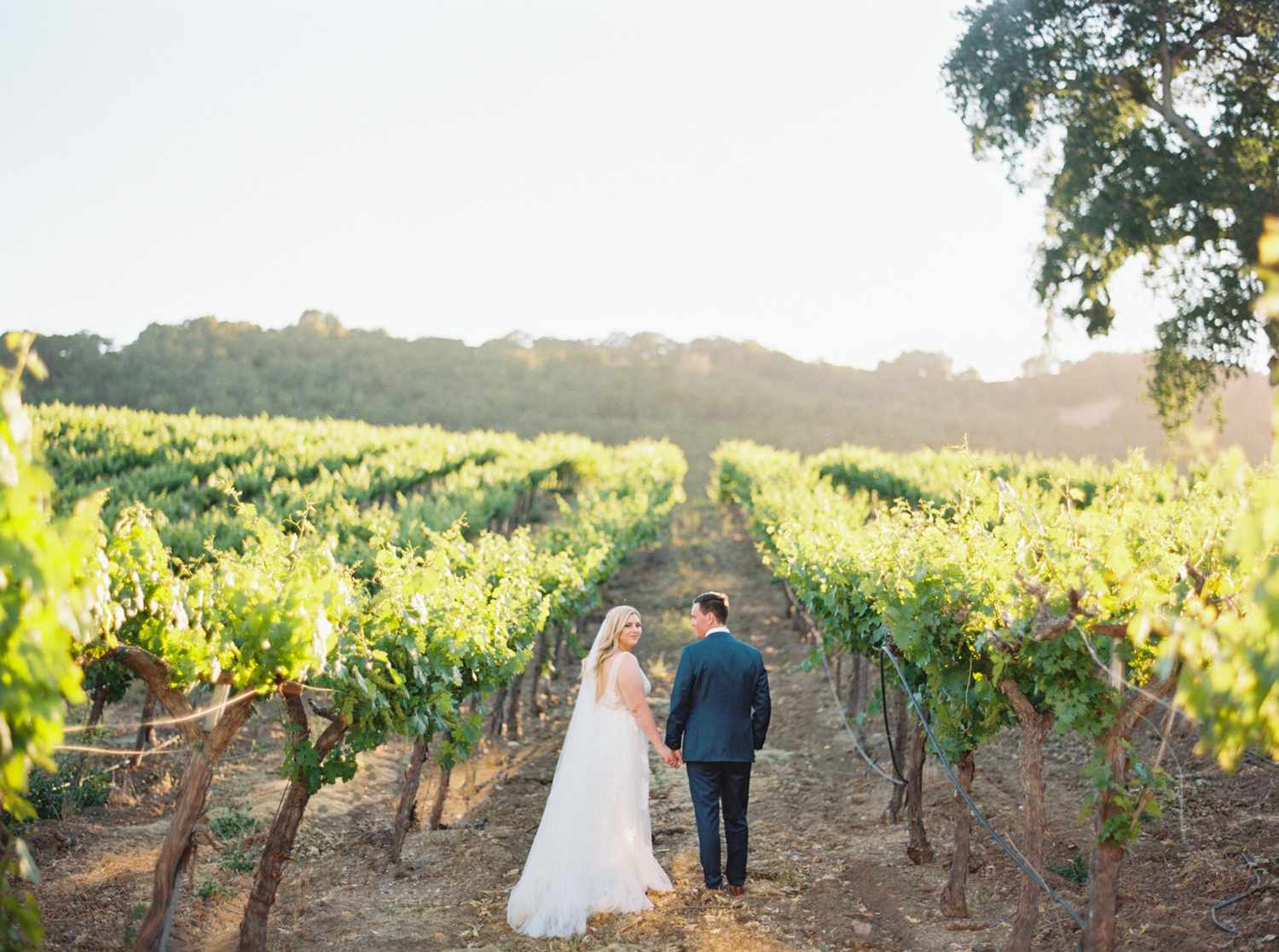 couple taking wedding portrait in vineyard