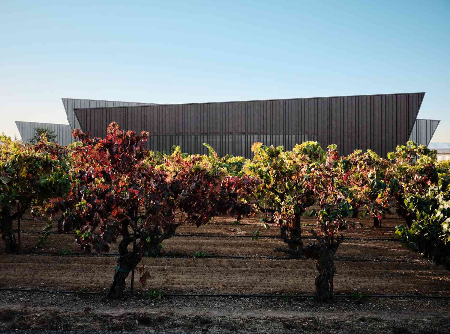 vineyard and exterior building image aperture winery
