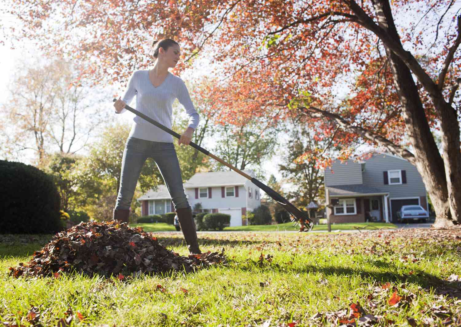 woman raking leaves front yard fall