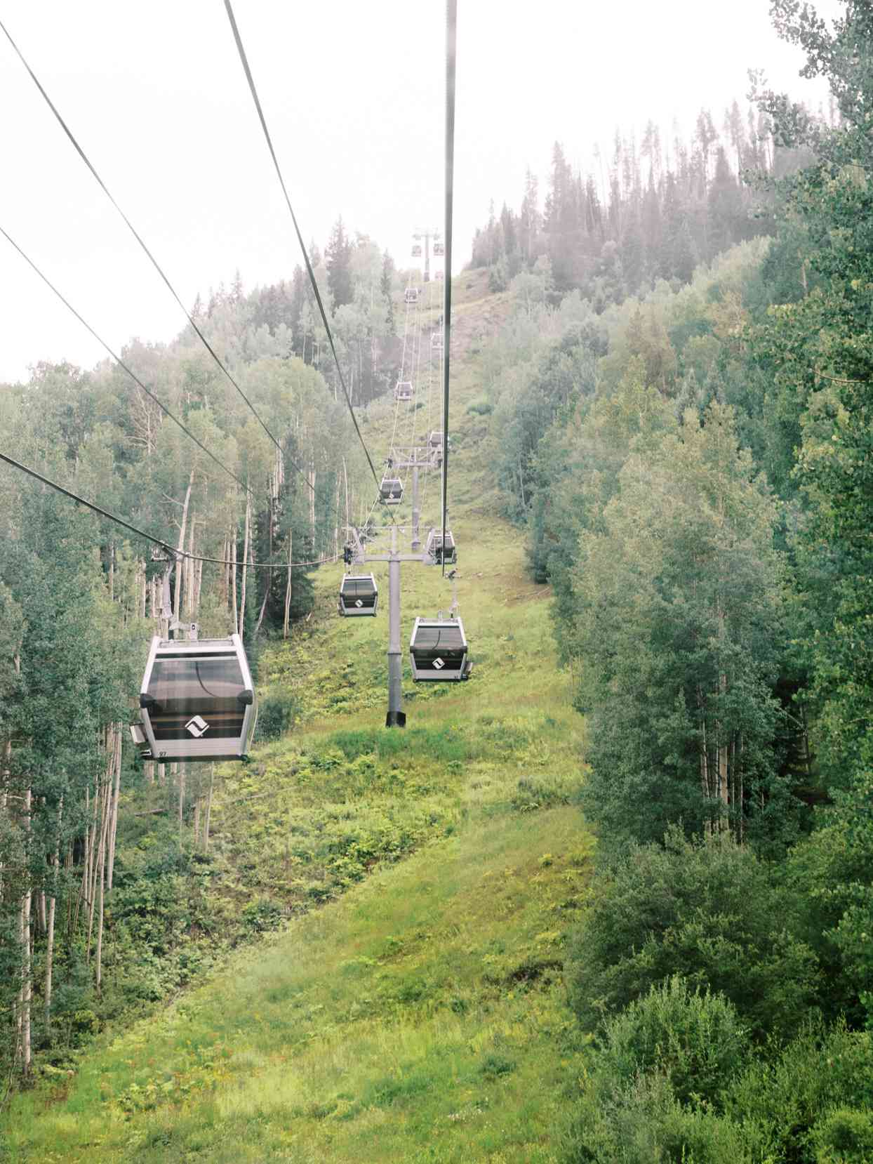 chairlift in trees