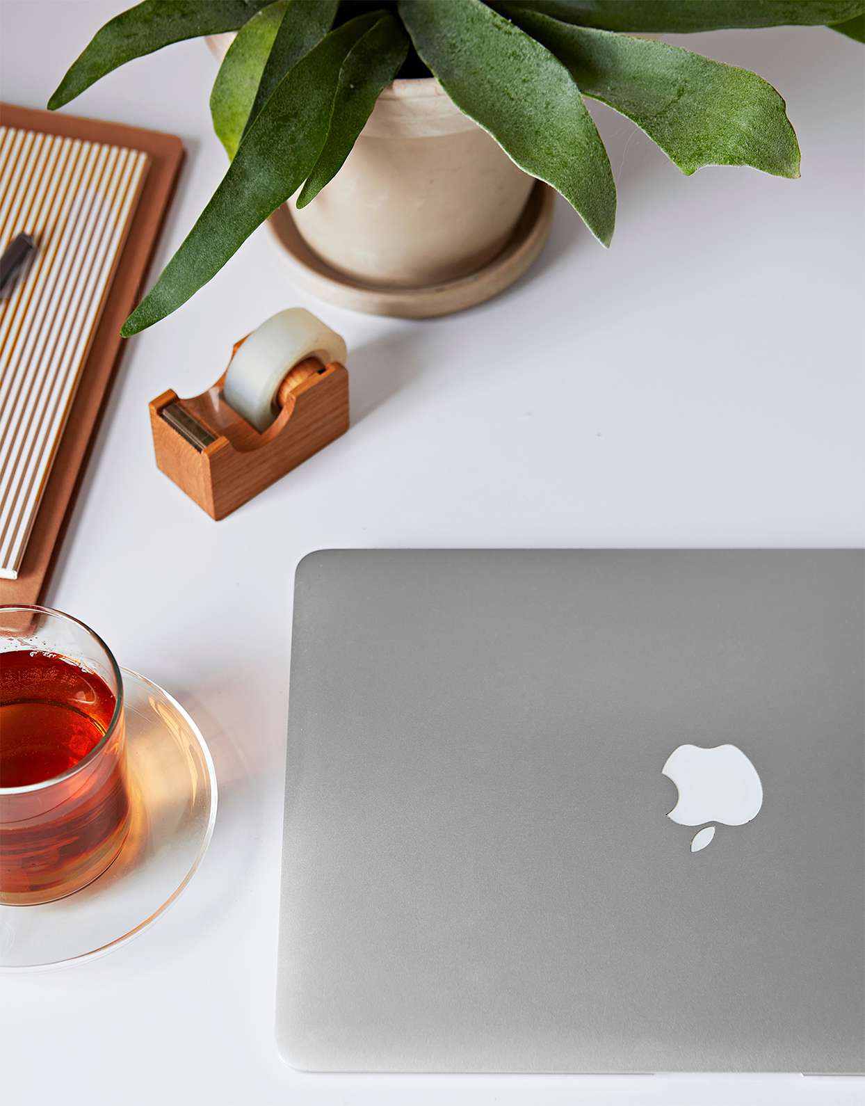 macbook laptop desk tea tape plant