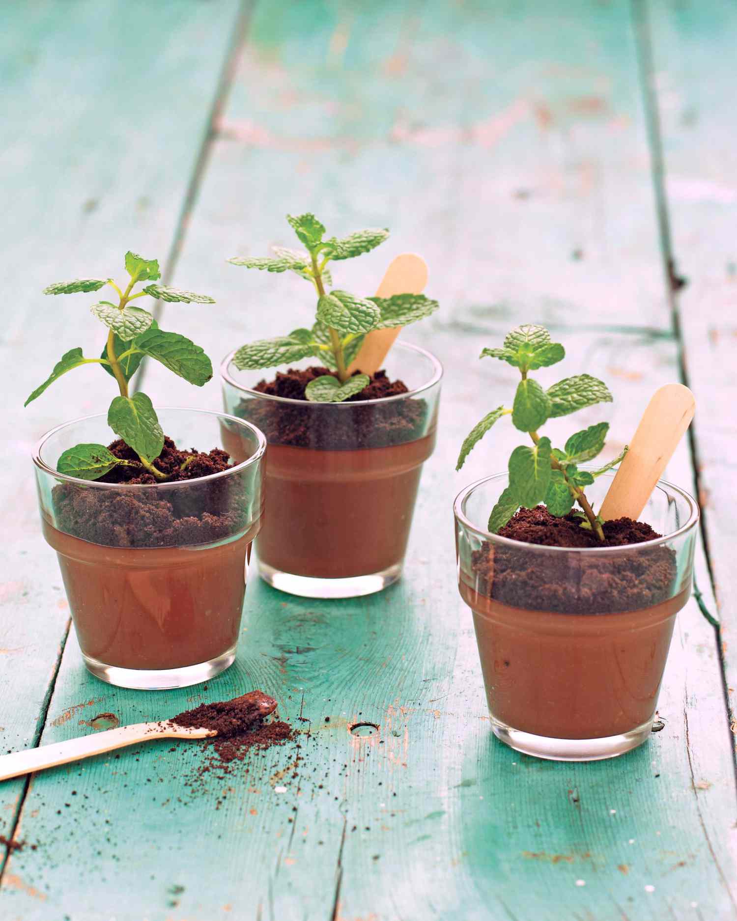 Potted Chocolate-Mint Puddings