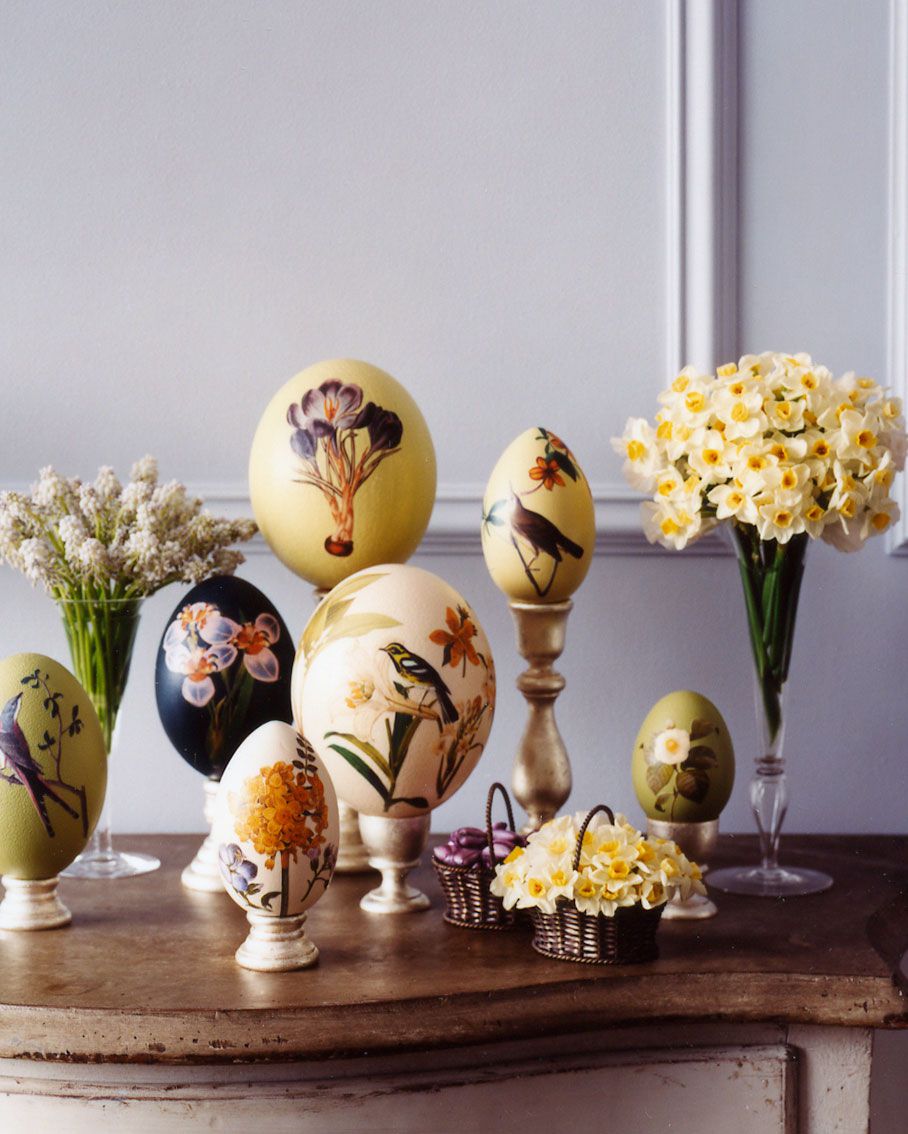natured themed artwork eggs