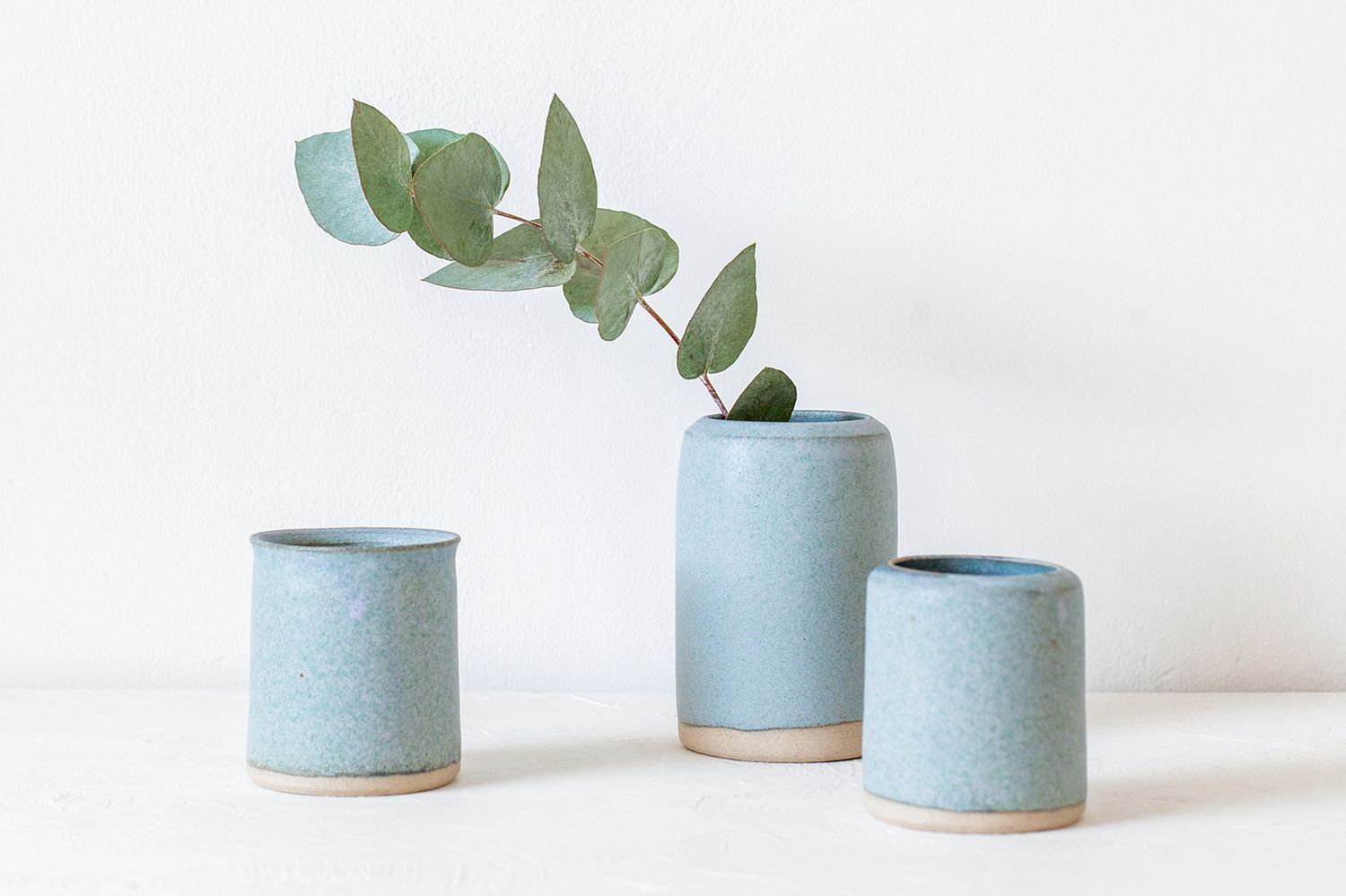 Eucalyptus sprig in vase
