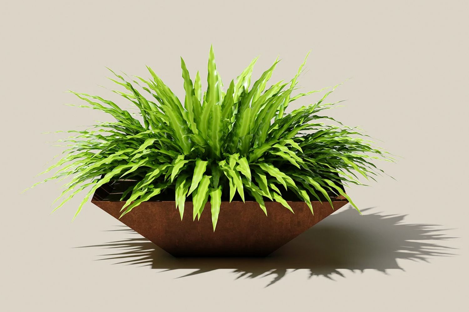 Planter on solid background