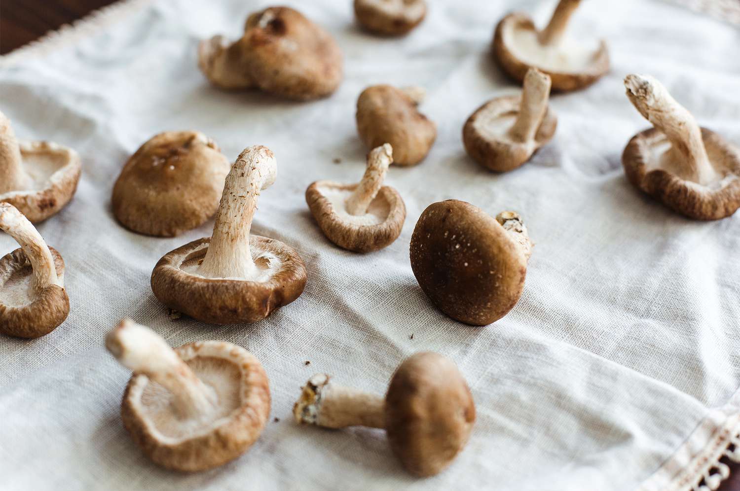 Shiitake mushrooms on cloth