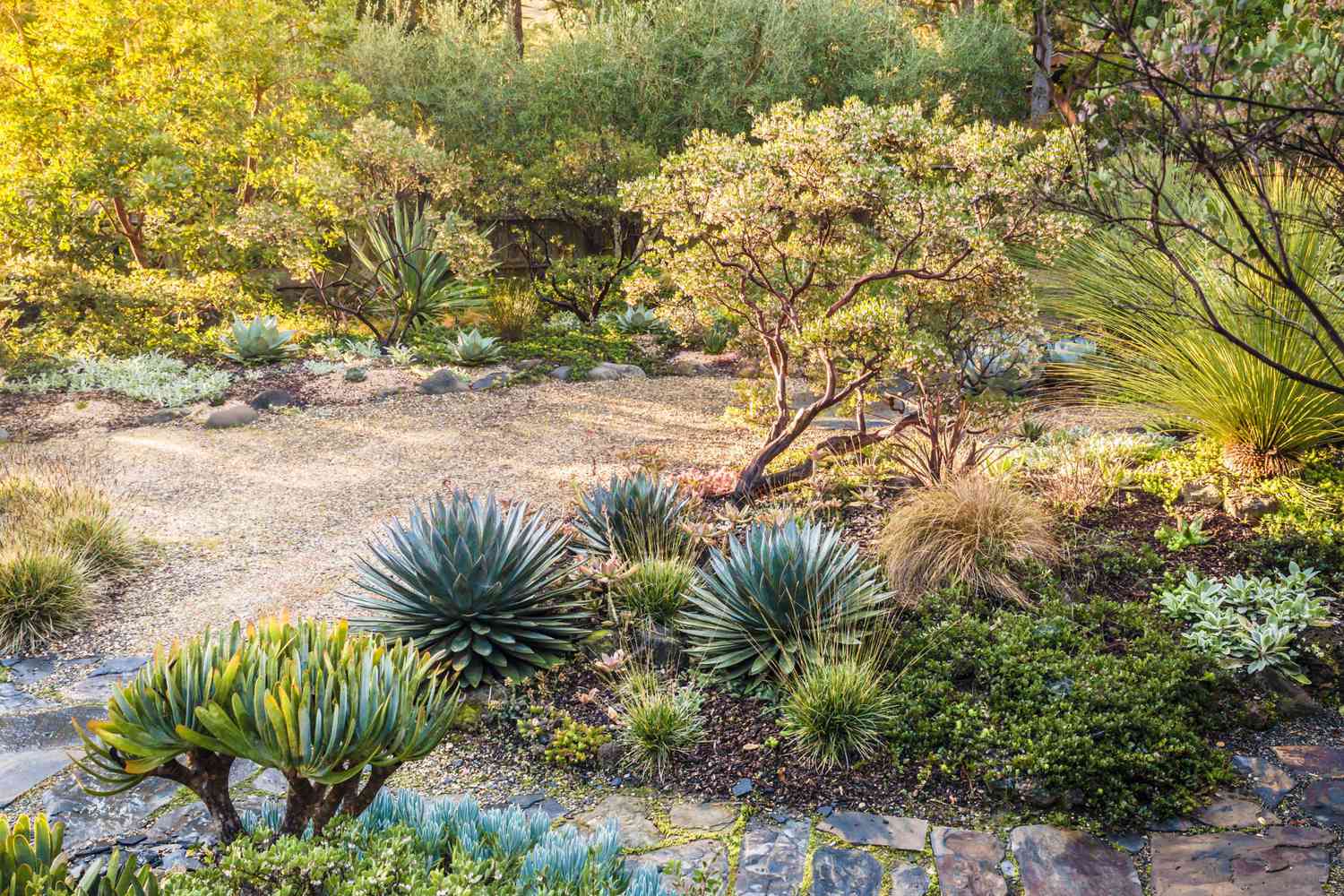 Try Xeriscaping