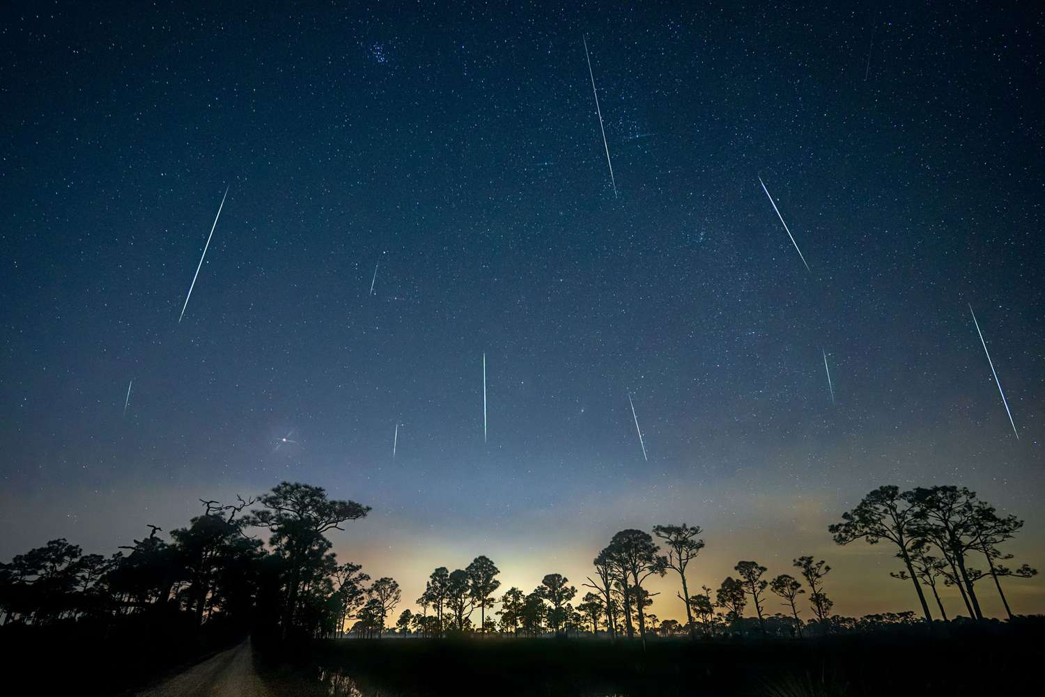 Geminid Meteor Shower over pond and direct road in Fred C. Babcock/Cecil M. Webb Wildlife Management Area near Punta Gorda, Florida -