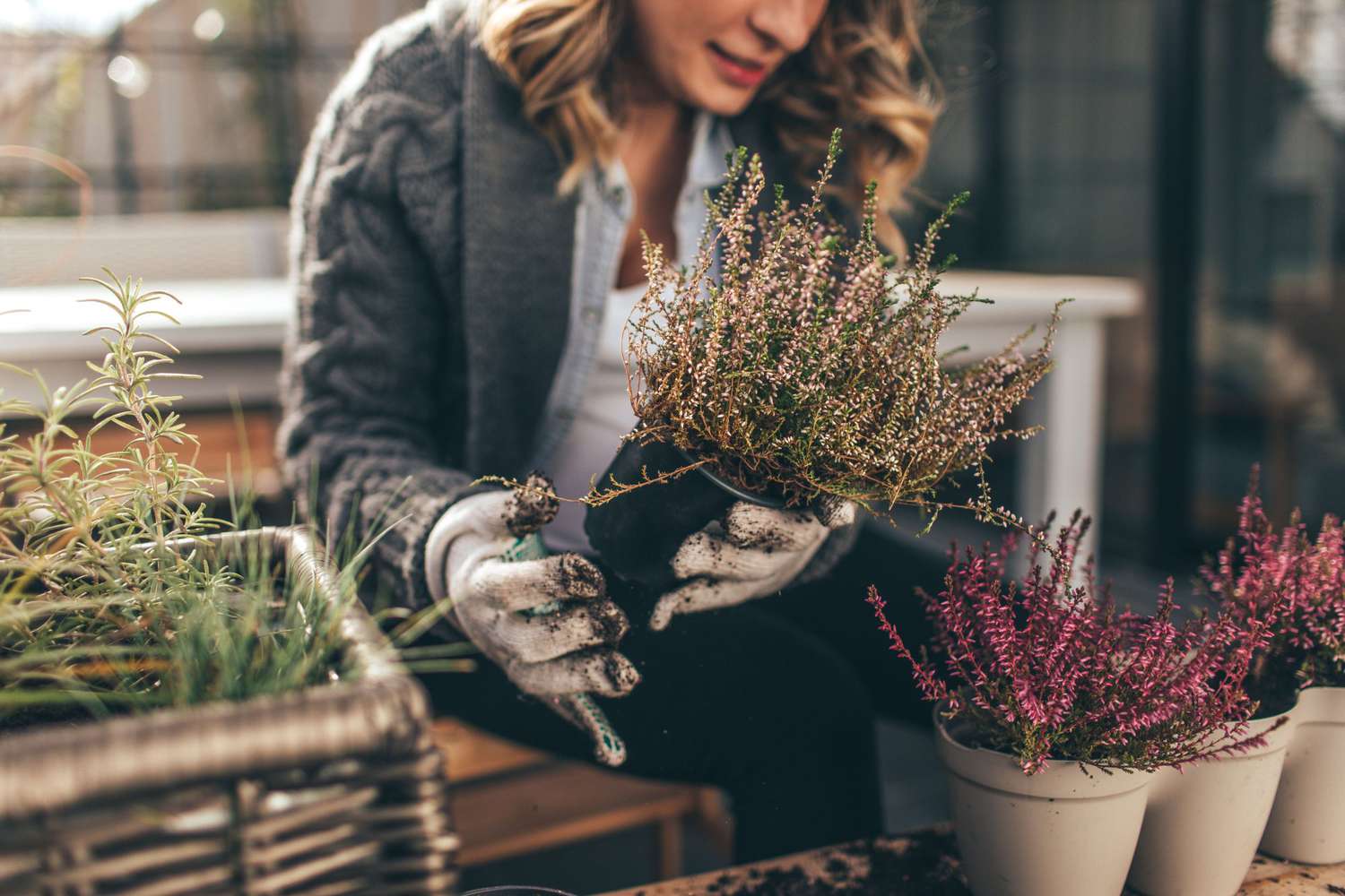 Photo of a young woman taking care of her rooftop garden on the balcony over the city, on a beautiful winter day