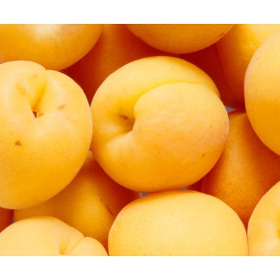 Diet Food: Apricots