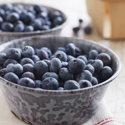 Diet Food: Blueberries