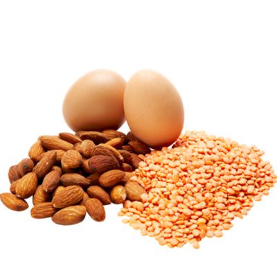 Myth: Eating an Excess of Protein Builds Muscle