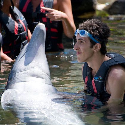 Oahu, Hawaii: Swimming with Dolphins
