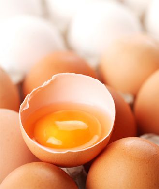 12 Poultry Eggs Fascinating Facts You Must Know About