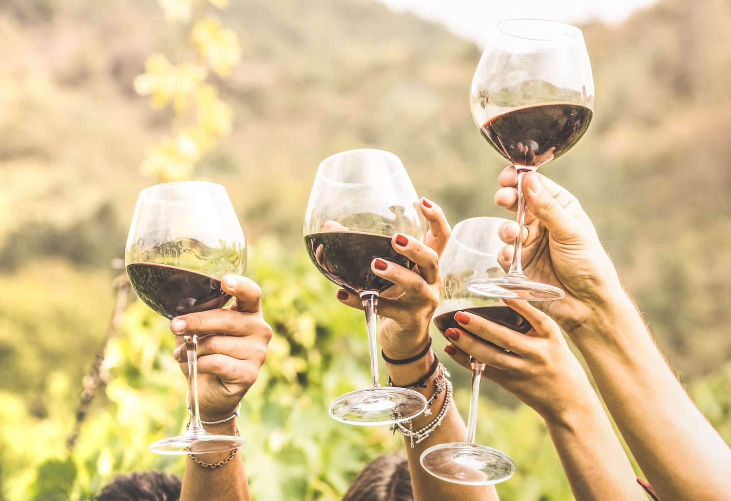 friends drinking red wine for resveratrol for weight loss benefits