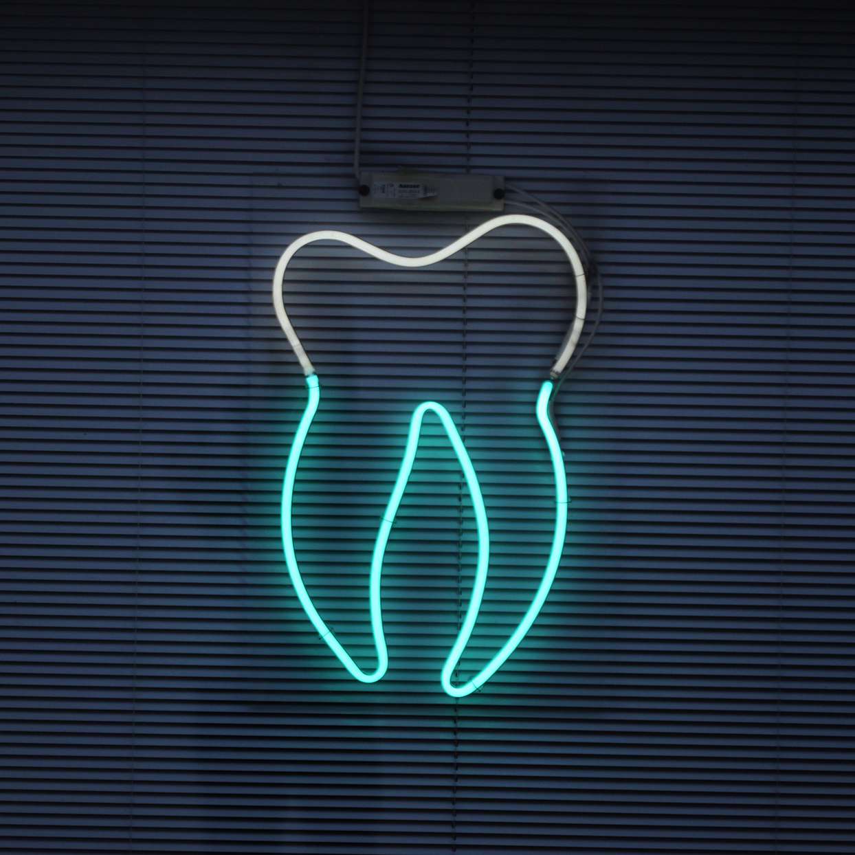 neon sign in the shape of a tooth