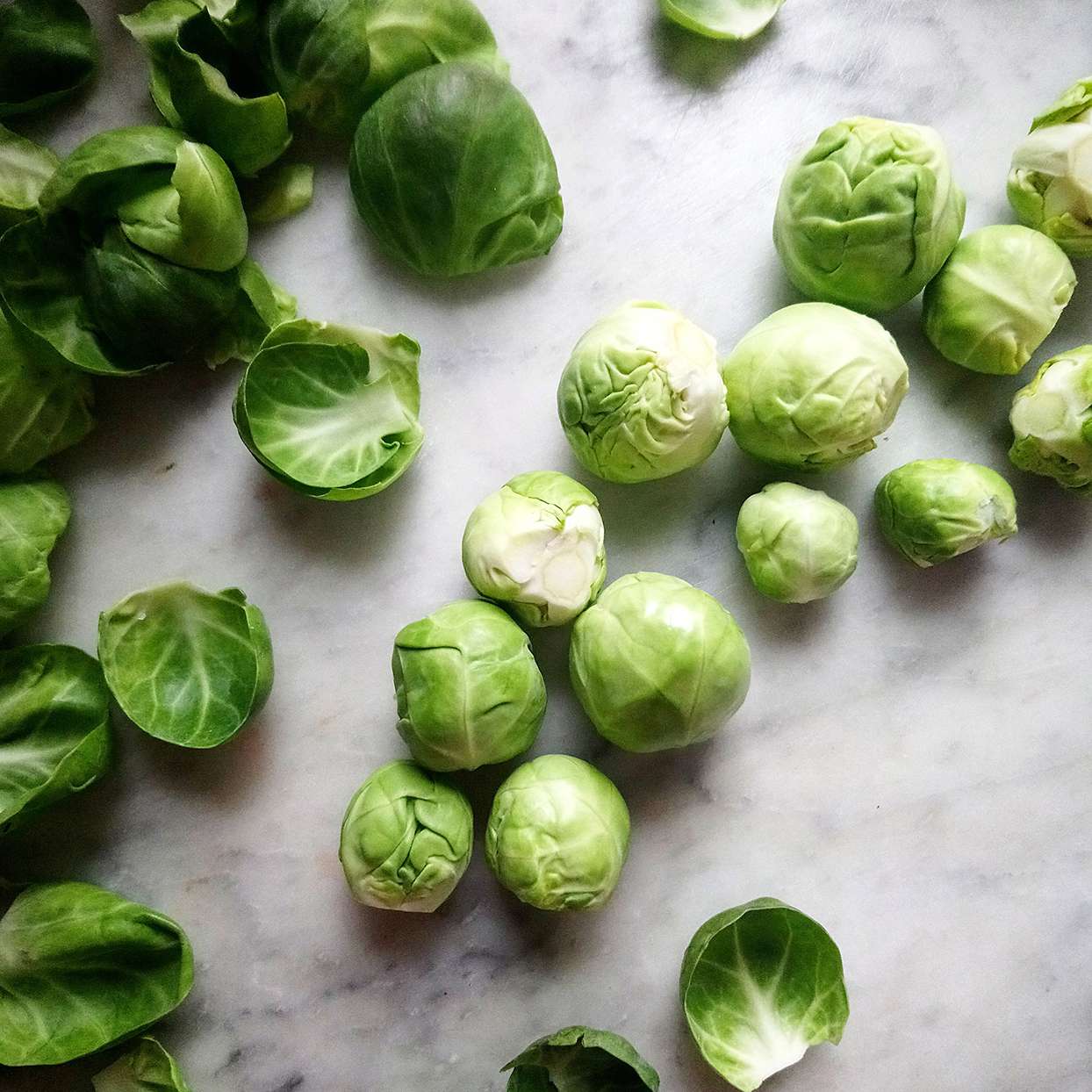 High Angle View Of Brussels Sprouts