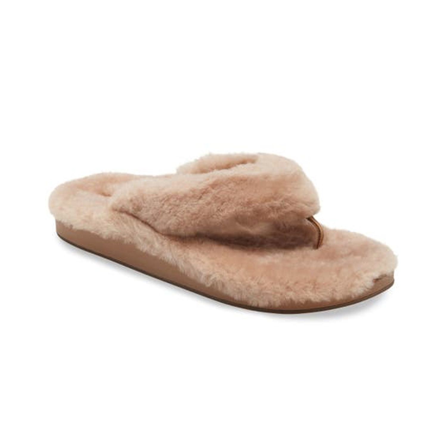 Product image of house slippers on a white background