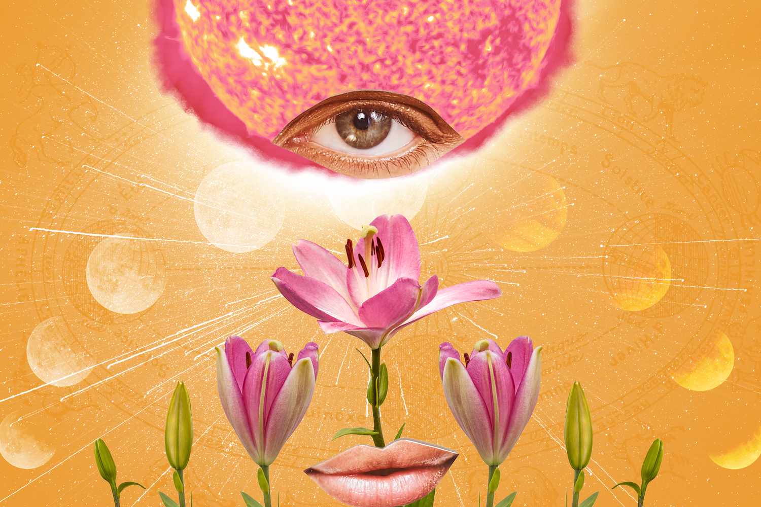 The sequence of blooming flower pink lily stars background and sun with eye