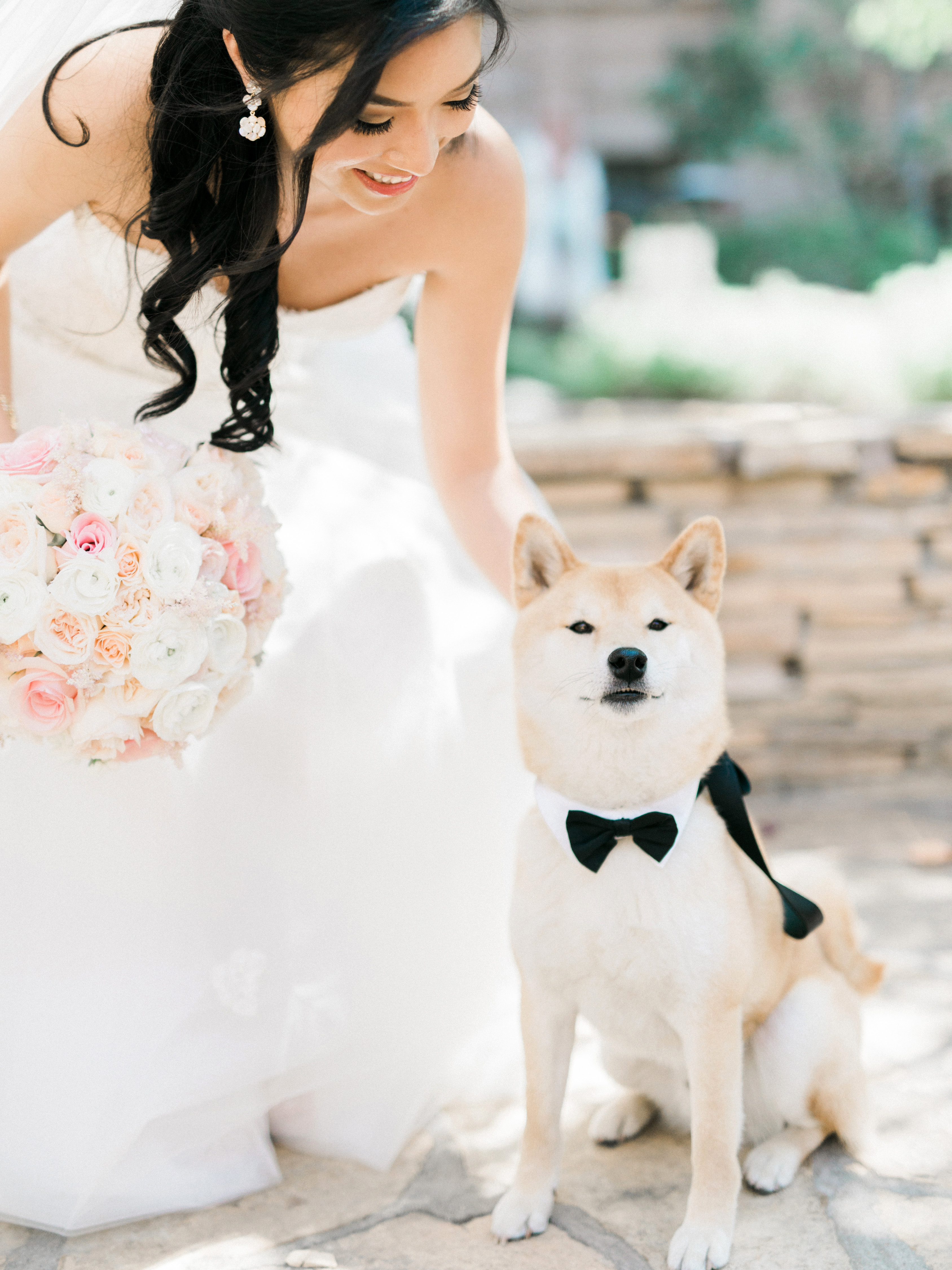 35 Ways To Ensure Your Dog Is The Guest Of Honor At Your Wedding Martha Stewart Weddings