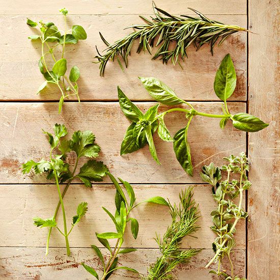 Herb Care Guide | Better Homes & Gardens
