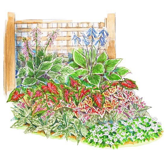 Color and Texture with Foliage Shade-Garden Plan