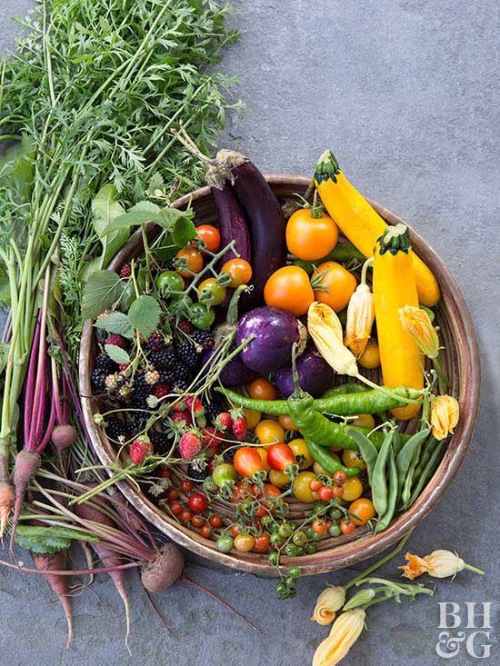 fresh summer produce in basket
