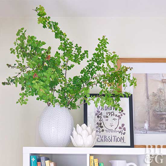 houseplant in vase on bookcase