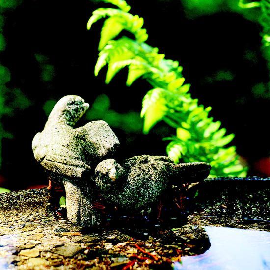 Stone birds in birdbath