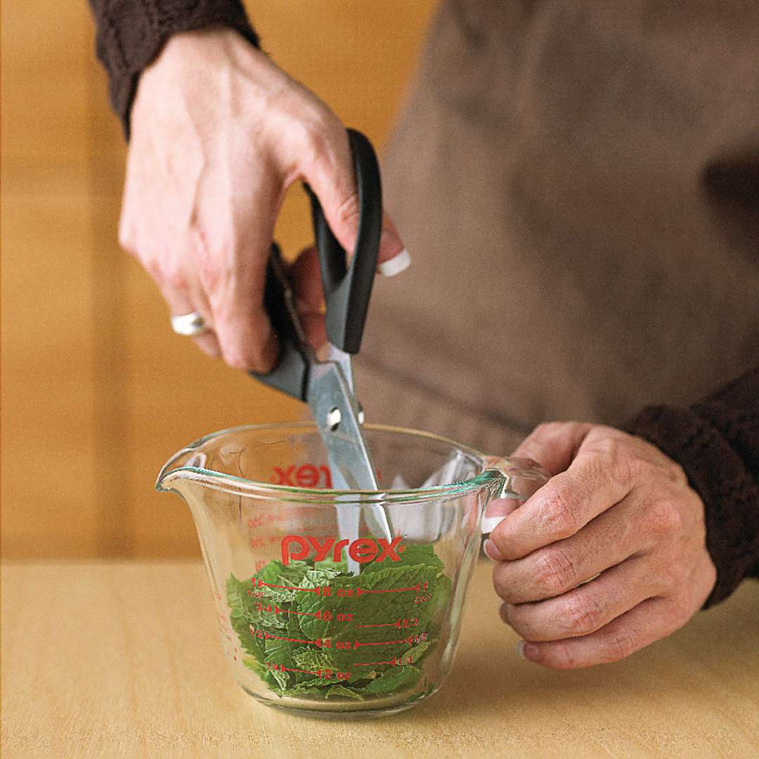 cutting herbs with scissors in measuring cup