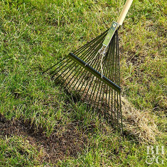 raking dead grass