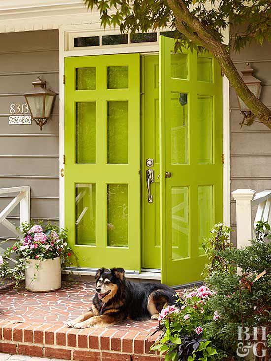 Green Storm Door and dog